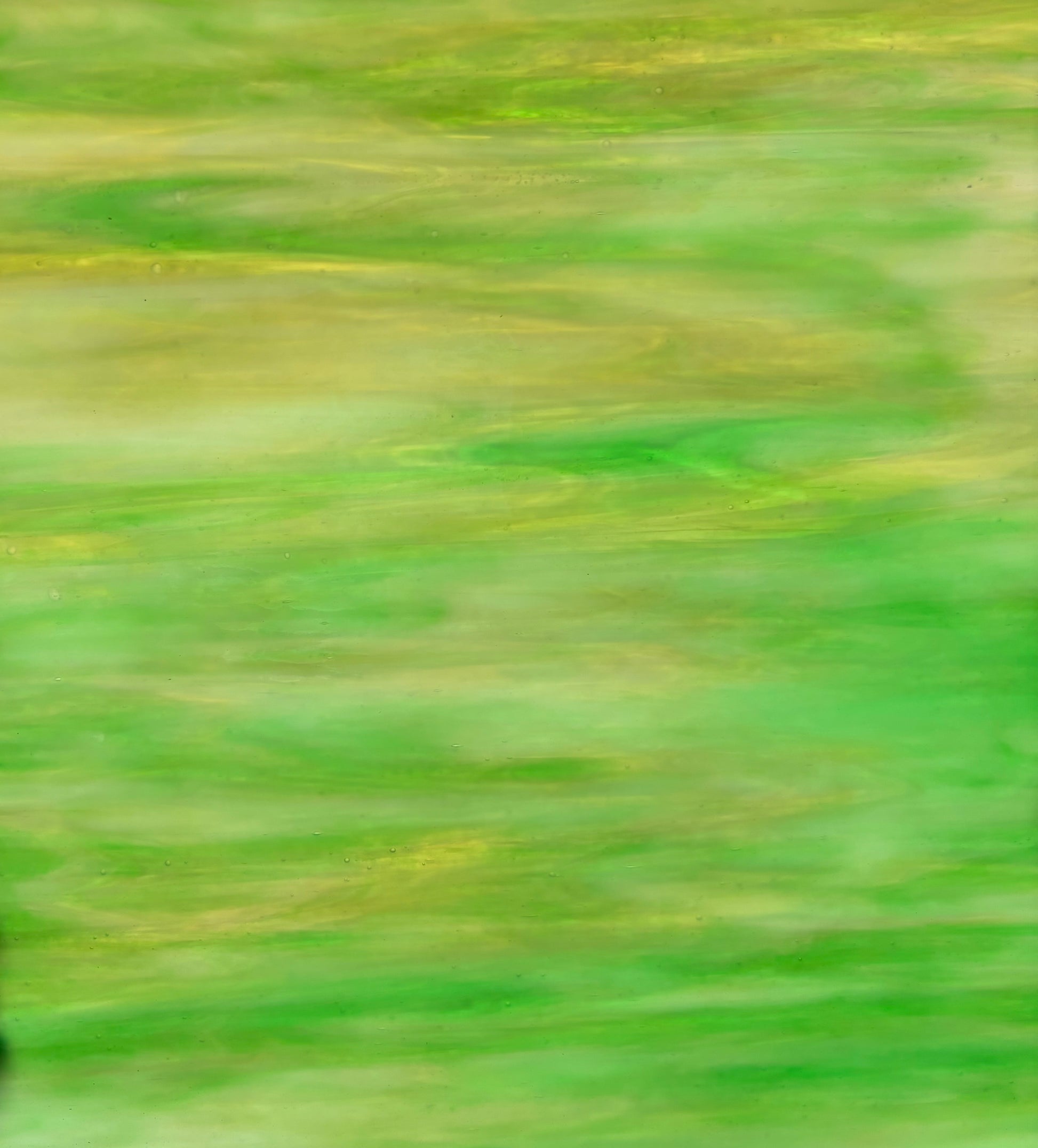 PW 245D, Shamrock Wispy-1