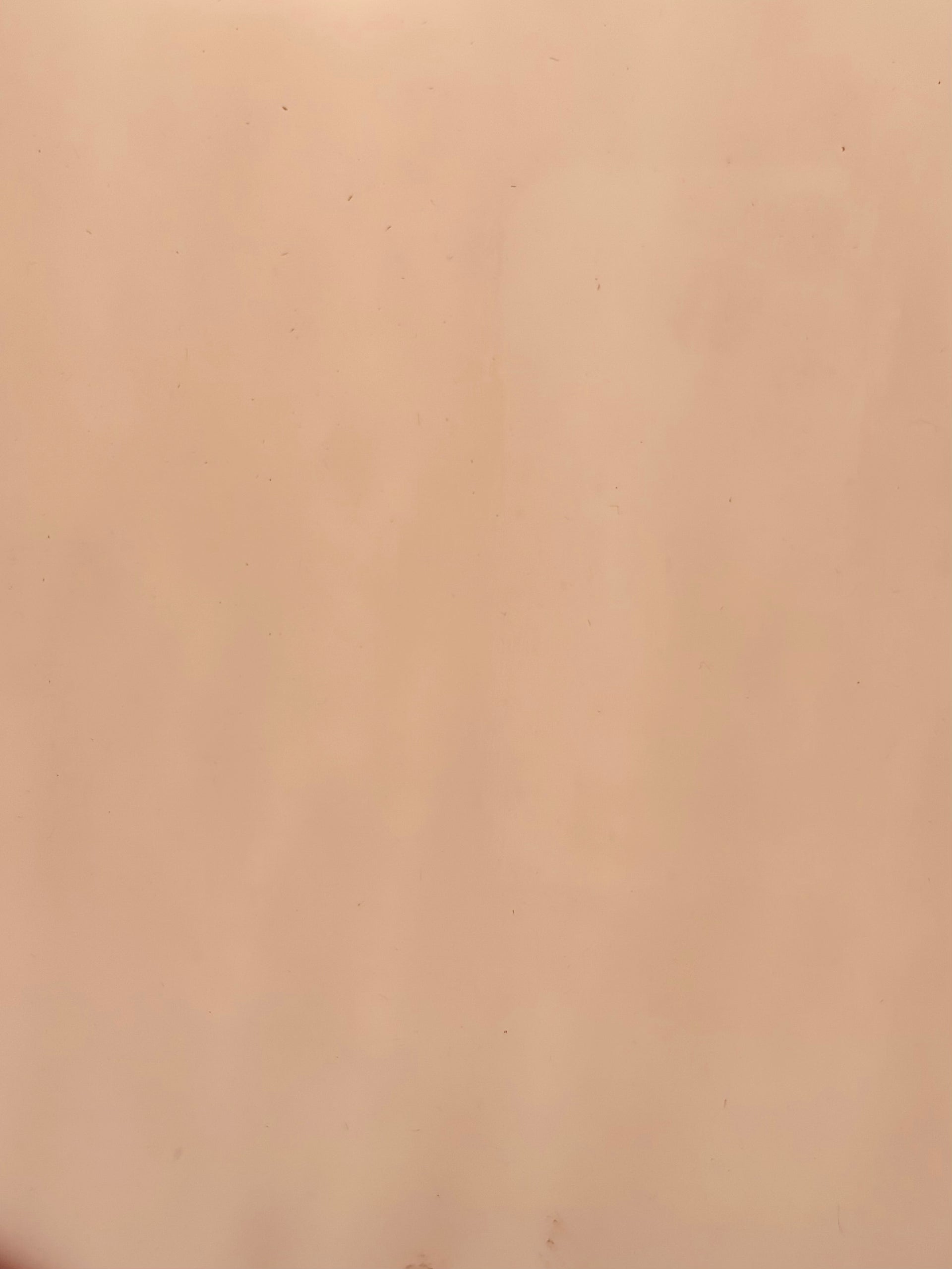 PW P51DD Dense Pale Pink