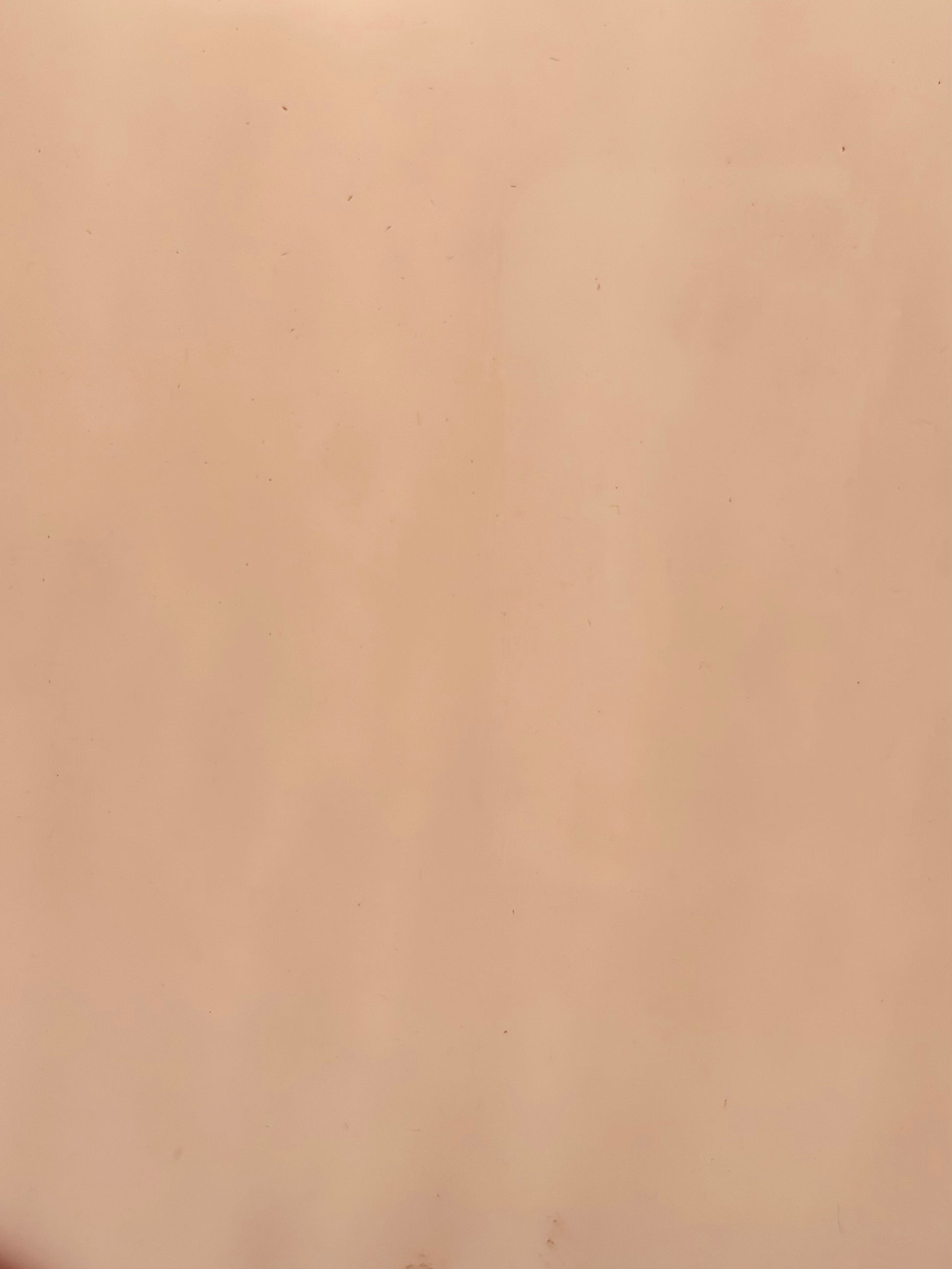 PW P51DD Dense Pale Pink-1
