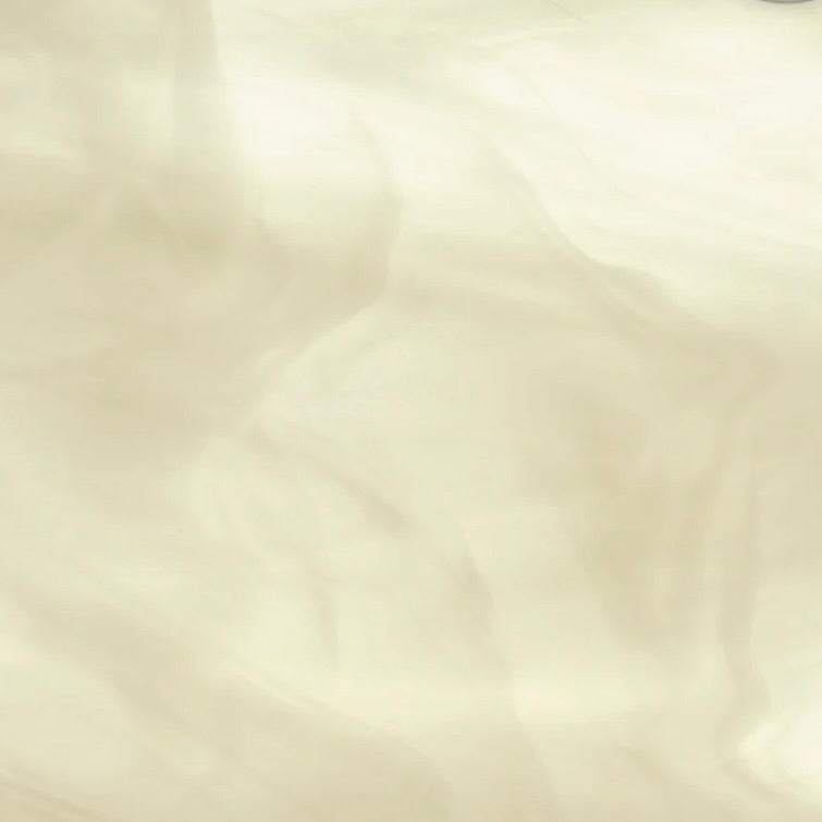 SP 201-61S Ivory/ Clear