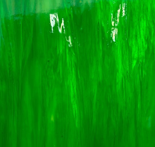 DG1079, Medium Green/White Wispy