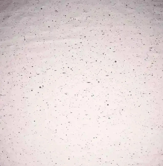 SP 591.1, Pink Champagne Seedy-1