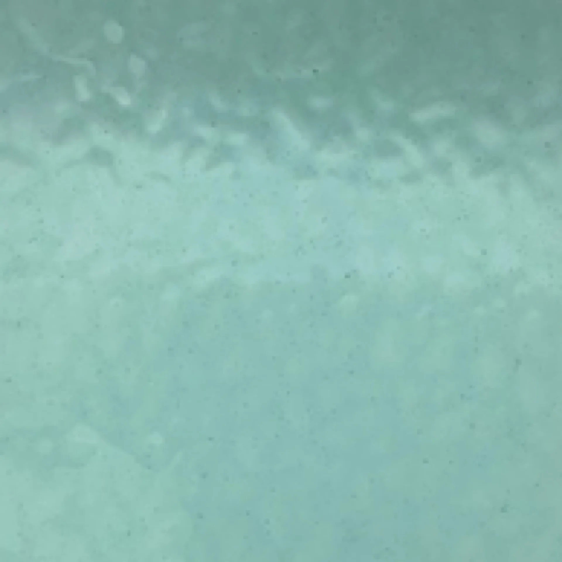 PW EM4904, Windsor Blue English Muffle