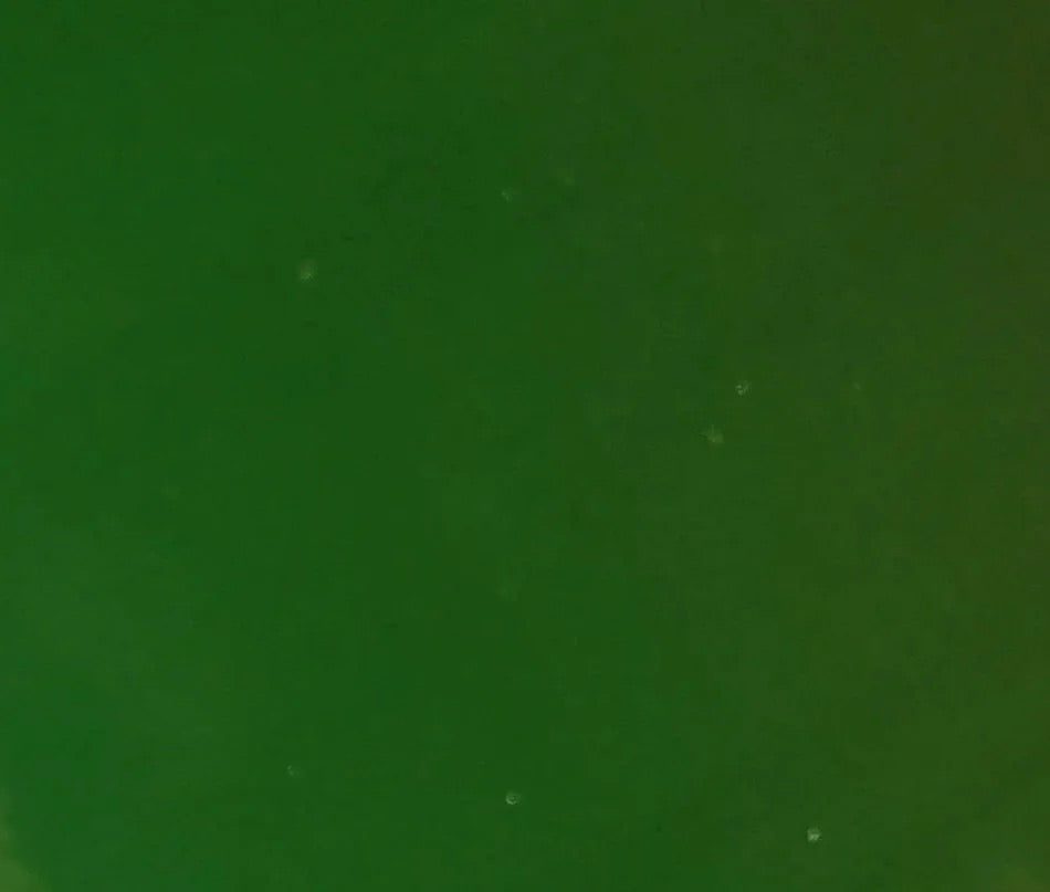 SP 220-76S, Dark Green Opal-1