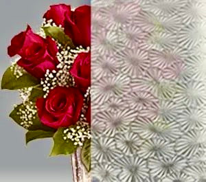 VP 1121 Clear Floralite