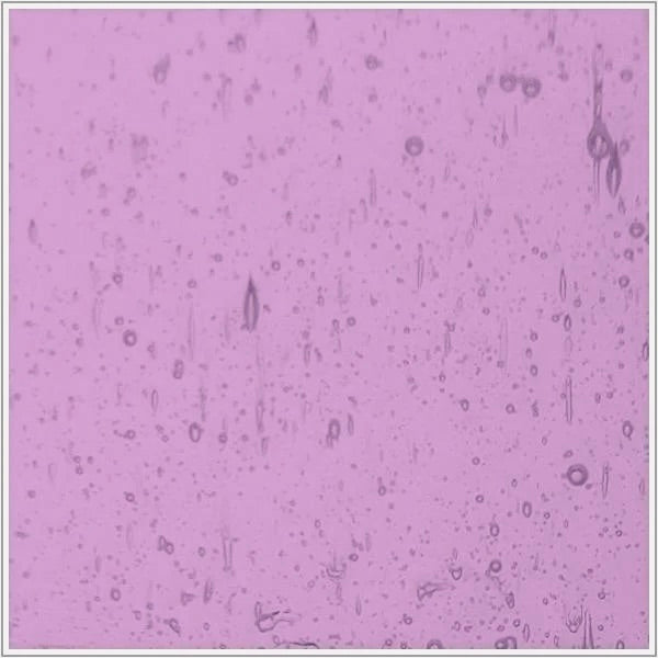 PW 418SDY, Pale Rose Seedy