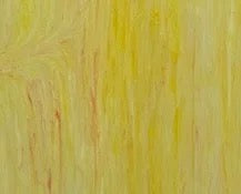 DG1078, Yellow/Tangerine-1