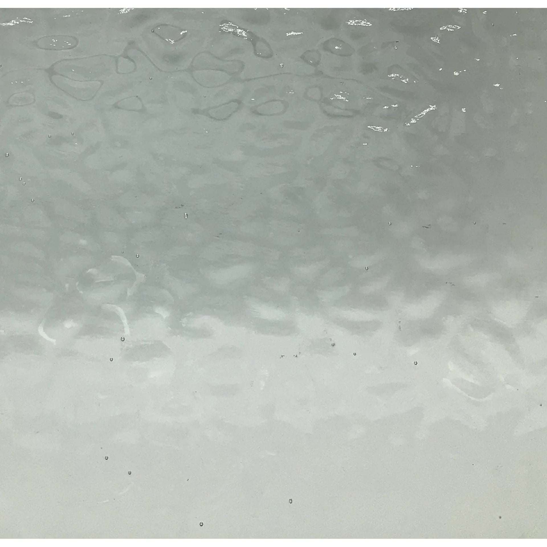PW EM4901, Clear English Muffle