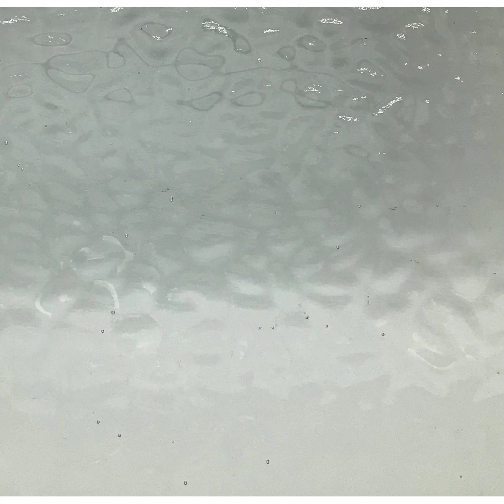 PW EM4901, Clear English Muffle-1