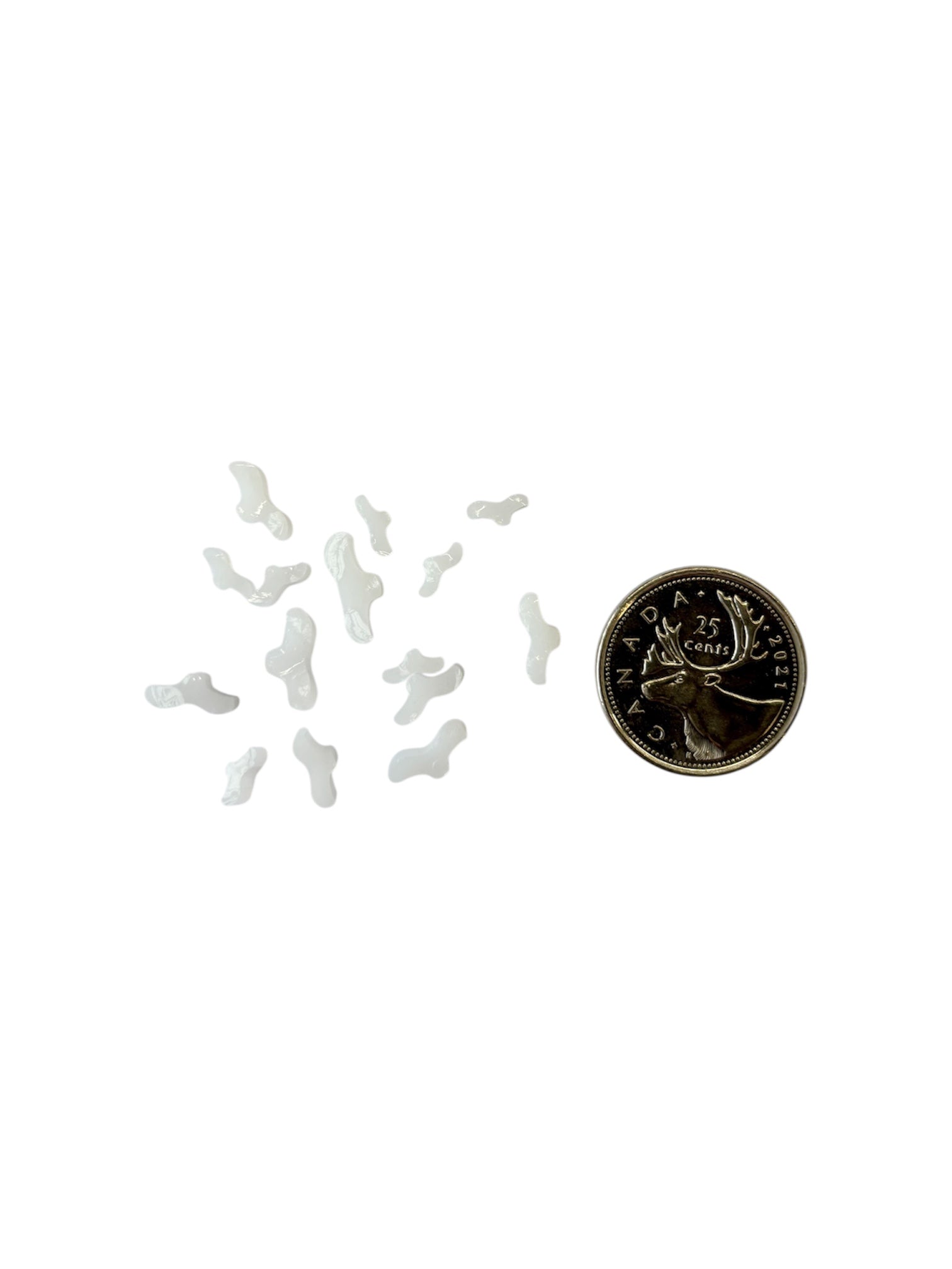 Murrine - White Seagulls-1